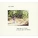 Cat Power : Speaking for trees