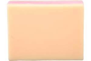 ANGGREK Coussin de Peau de Suture, Peau de Suture, Peau de Pratique de Suture, Kit de Pratique de Suture, Pratique D'injection, Fausse Peau pour étudiant en Médecine, Modèle de Pratique