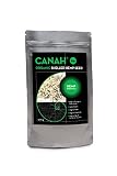 Semilla orgánica de cáñamo Semilla de cáñamo Canah (500g Bio)