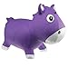 KidzzFarm Harry Horse Baby Toy (12 Months and Above, Purple)