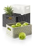 Rotho 1115201100 Aufbewahrungskiste Dekobox Country in Rattan-Optik aus Kunststoff (PP), Format A5, Inhalt ca. 6 l, ca. 28 x 18.5 x 12.6 cm (LxBxH), weiss - 3