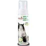 Champú Seco para gatos y Fe con los hurones con aceite de neen
