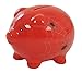 Suki Gifts Spider Piggy Bank