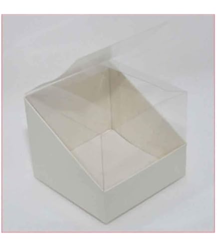 n. 10 Scatola Trasparente e cartoncino Bianco Duo PVC