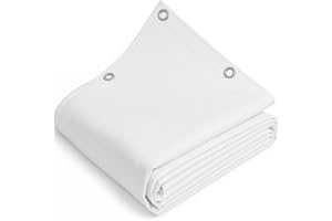 TELOMERITI® - Telo/Telone in PVC 650gr/mq con Occhielli in Alluminio, Rinforzato, tipo da camion, Impermeabile, Copritutto Da Esterno, Vari Colori, Made in Italy (Bianco, 2,5X2 Metri (5 MQ))