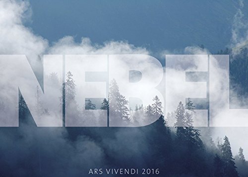 Nebel 2016