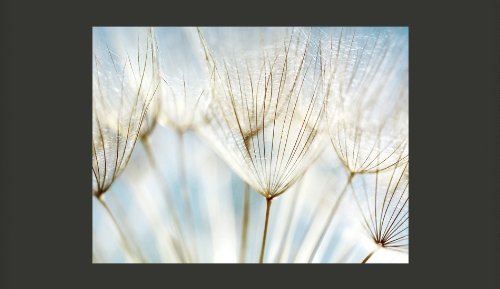 Vlies Fototapete 400×309 cm | TOP | Tapete | Fototapeten | Tapeten | Wandbilder XXL | 100406-97 - 2