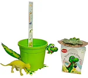 9BLOOMS Grow Your Own Plant Do-It-Yourself (DIY) Dino Kit for Indoor and Outdoor Plants (Tomatoes)