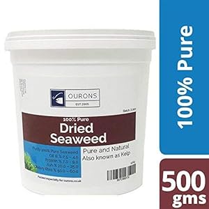 OURONS Alga Marina Kelp para Perros. Tarro de 500 g