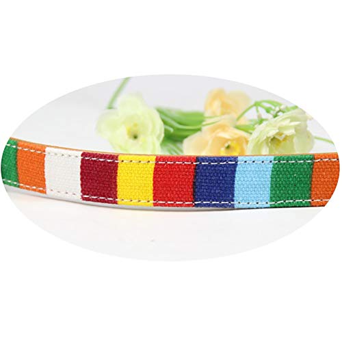 XIAOLANGTIAN-1-Pc-Lumineux-Couleur-Pet-Walk-Gilet-Chien-Chat-Scurit-Chiot-Poitrine-Strap-Harnais-Collier-Laisse