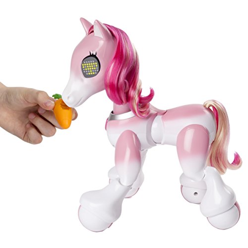 41iOfohjvPL Zoomer - 6036997 - Pony