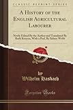 Image de A History of the English Agricultural Labourer: Newly Edited By the Author and Translated By Ruth Kenyon, With a Pref, By Sidney Webb