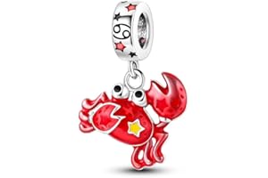 TINSLO Ciondolo 12 Costellazioni Argento Sterling 925 con Cubic Zirconia Pendenti per Pandora Braccialetti, Compatibile con Braccialetti e Collane europei, perfetto Regali per Moglie e Ragazze PAC251