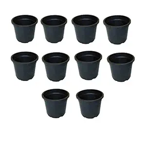 bvslf Plastic Pots, Black, 3 in, 10 Pieces