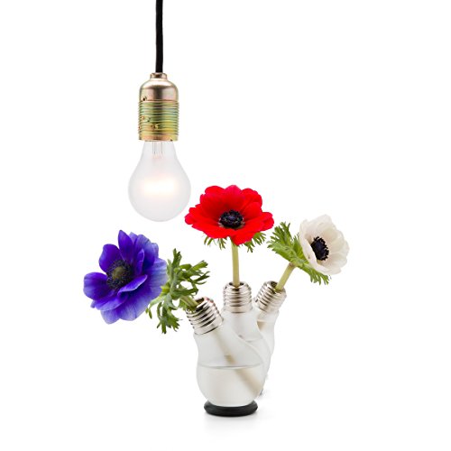 Blühbirne – Glühbirnenvase - 4