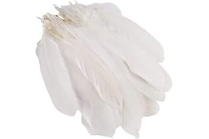 ERIOCTRY Paquete de 100 plumas de ganso, de entre 15 y 22 cm, para decoración del hogar, bodas y proyectos de bricolaje.
