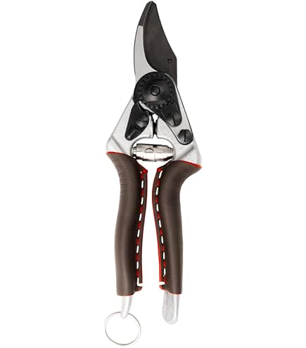 Pro Garden Tuinscharen set - 2 ST - snoeischaar en heggenschaar - 20 cm