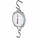 Produktbild Powerpreise24 Profi HÄNGEWAAGE ANALOG max. 25 kg / 100 g Schritte, stabiles Metallgehäuse, Zugwaage inklusive 2X S-Haken