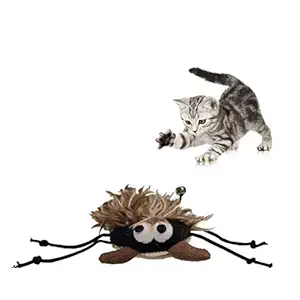 PoochBox Funny Interactive Cat Toys for Kittens (Pack of One)