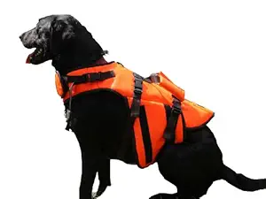 Outback Jack Dog Life Jacket by Hyper Pet, Orange, X-Large