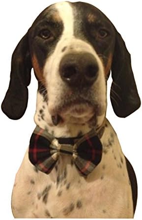 grey tartan elasticated dog bow tie FREE DELIVERY