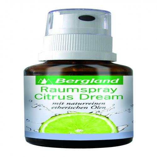 RAUMSPRAY Citrus Dream 30 ml Spray
