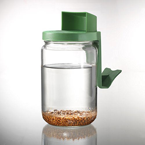 Germline – Sprossengarten im Glas – Sprossengarten im Glas Germline im Dreierpack - 5