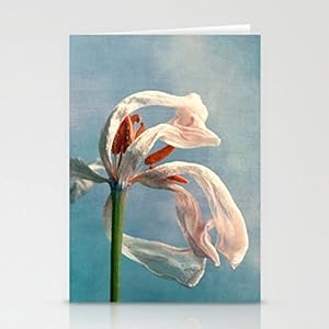 Fotokunst Grußkarte