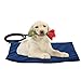 Produktbild Per Pet Automatische Konstante Temperatur Heizkissen Elektrische Erwärmung Matte Beheizte Decke 40 * 30 cm Wasserdichte Kauen Beständig Stahlkabel Für Hund Katze Kleine Tiere-Saphir