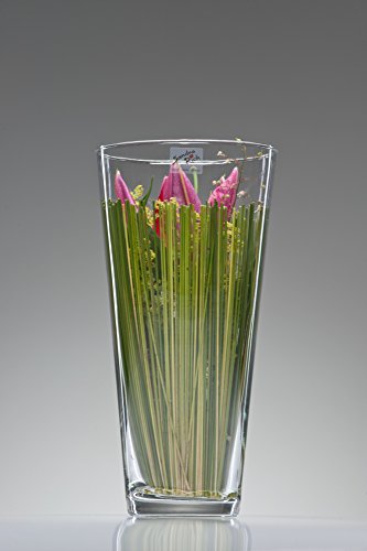 Glasvase CONI Glas Vase Tischvase Blumenvase 30 cm - 3