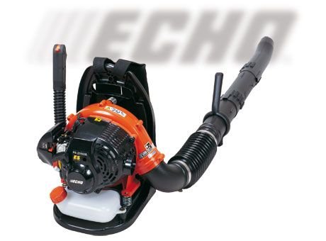 Dos et souffleur Echo PB de 265esl