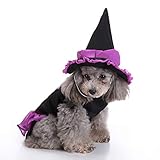 patrones para ropa de perros chihuahua gratis El diseño fácil de usar hace que sus mascotas sean más lindas, elegantes y diferentes. Lleno de ambiente navideño y de halloween.