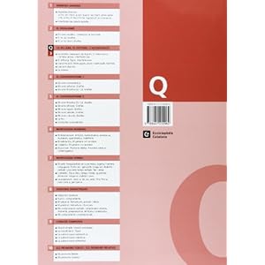 La sil.laba, el diftong i l'accentuació, llengua, ESO. Quadern 3 (Q. LLENGUA CATALANA ESO)