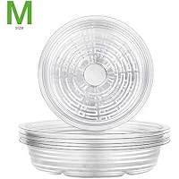Platillos para plantas | Amazon.es