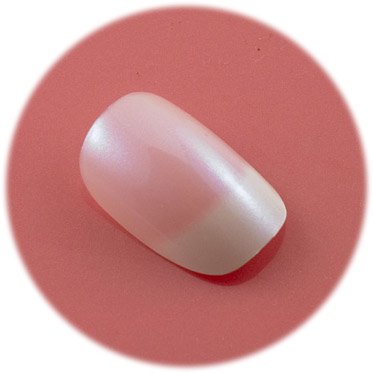 Body Collection Pink French Pearl Air Brushed Nails With Glue