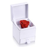 MARENJA-Caja Joyero y Rosa Preservada-Eterna