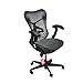 Produktbild Herman Miller Mirra Triflex Büro Designer-Stuhl Dunkel mit Sitz- und Grau Grau Rücken