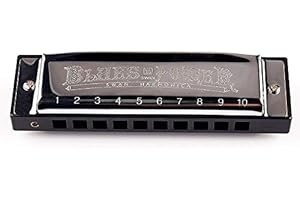 YUEKO SWAN - Armonica blues a 10 fori, 20 toni, per adulti, musicisti professionisti, principianti, studenti, con custodia