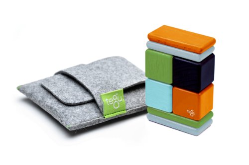 Tegu Pocket Pouch Magnetic Wooden Block Set (Nelson, Pack of 8)