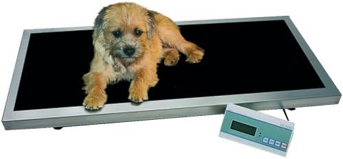 Digital Scales VS250-E