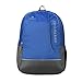 Aristocrat Zing Fabric 27 Ltrs Blue Laptop Backpack (LPBPZIN3BLU) RS.741.00