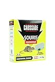 Caussade CASABOIT2 Souris - 2 boîtes pré-appâtées Foudroyant - prêt à poser - sécurité enfant| Cuisine et Habitation
