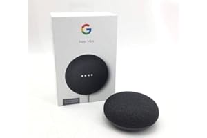 FRAYONES Soporte para Google Nest Mini (Google Nest Mini Negro + Soporte Negro)