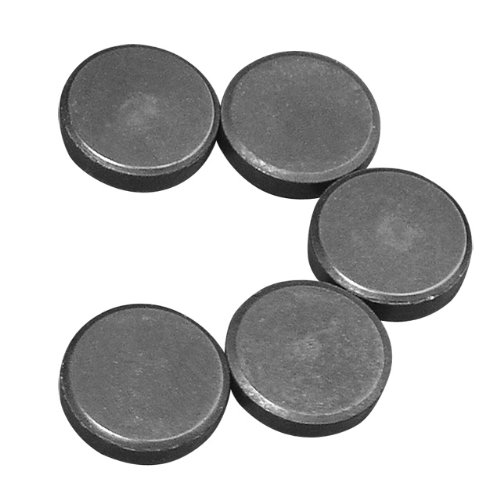 Magnet, 20 mm ø, Stärke 5 mm [Spielzeug]