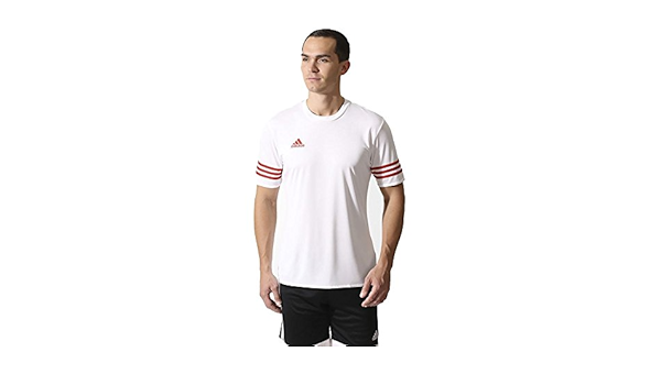 adidas entrada 14 jersey