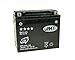 Produktbild Batterie JMT GEL Line jmtx20l-bs für Honda GL 1800 A Goldwing (2004)