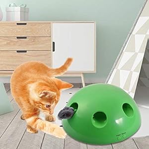 GSNML Pet Toy Play Cat Toy, Divertido Juego de Carnaval para Kitty Pet Entertainment Pet Exercise Chaser Toy Interactive Pet Toys para Gatos y Perros