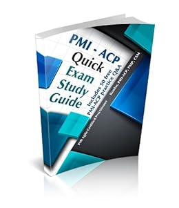 PMI-ACP模擬資料