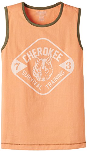 Cherokee Boys T-Shirt RS.99 (60.00% Off) - Amazon