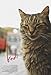 Produktbild Kedi Poster Drucken (27,94 x 43,18 cm)